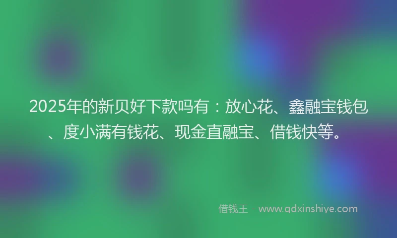 2025年的新贝好下款吗有：放心花、鑫融宝钱包、度小满有钱花、现金直融宝、借钱快等。