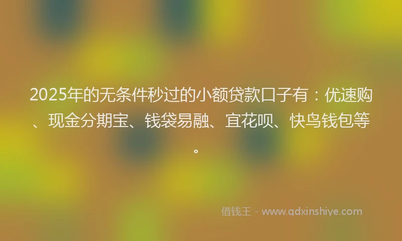 2025年的无条件秒过的小额贷款口子有：优速购、现金分期宝、钱袋易融、宜花呗、快鸟钱包等。