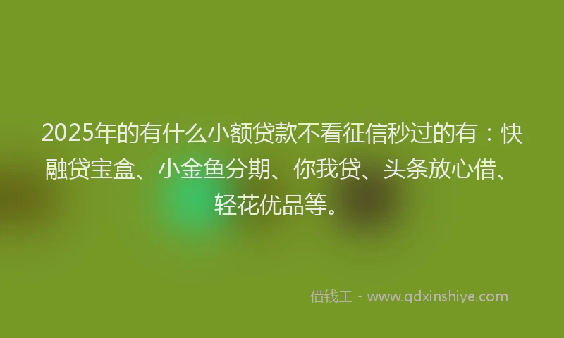 2025年的有什么小额贷款不看征信秒过的有：快融贷宝盒、小金鱼分期、你我贷、头条放心借、轻花优品等。