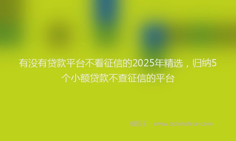 有没有贷款平台不看征信的2025年精选，归纳5个小额贷款不查征信的平台
