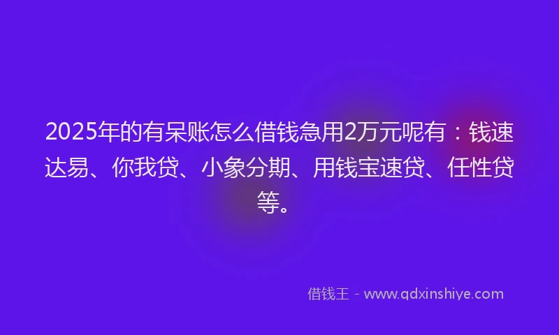 2025年的有呆账怎么借钱急用2万元呢有：钱速达易、你我贷、小象分期、用钱宝速贷、任性贷等。