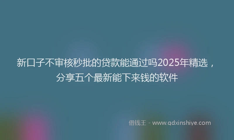 新口子不审核秒批的贷款能通过吗2025年精选，分享五个最新能下来钱的软件