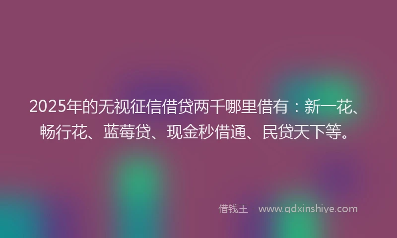 2025年的无视征信借贷两千哪里借有：新一花、畅行花、蓝莓贷、现金秒借通、民贷天下等。