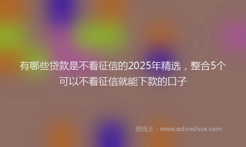 有哪些贷款是不看征信的2025年精选，整合5个可以不看征信就能下款的口子