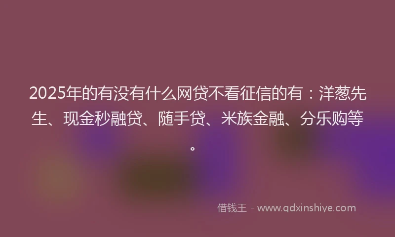 2025年的有没有什么网贷不看征信的有：洋葱先生、现金秒融贷、随手贷、米族金融、分乐购等。