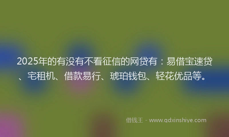 2025年的有没有不看征信的网贷有：易借宝速贷、宅租机、借款易行、琥珀钱包、轻花优品等。