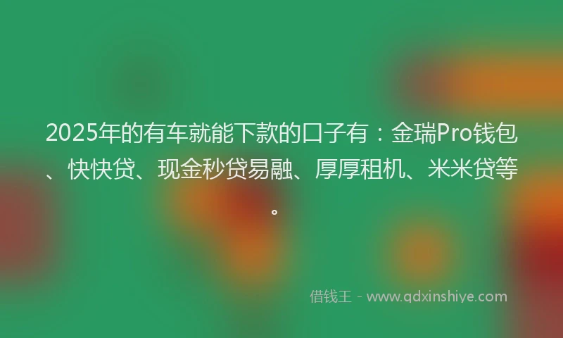 2025年的有车就能下款的口子有：金瑞Pro钱包、快快贷、现金秒贷易融、厚厚租机、米米贷等。