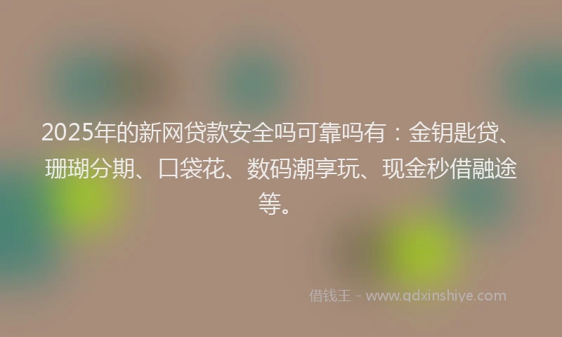 2025年的新网贷款安全吗可靠吗有：金钥匙贷、珊瑚分期、口袋花、数码潮享玩、现金秒借融途等。