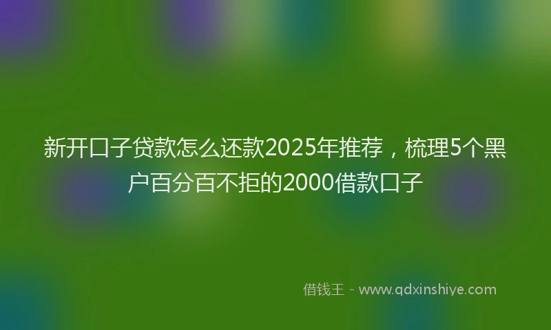 新开口子贷款怎么还款2025年推荐，梳理5个黑户百分百不拒的2000借款口子