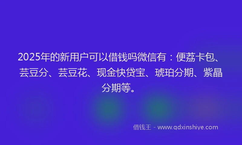 2025年的新用户可以借钱吗微信有：便荔卡包、芸豆分、芸豆花、现金快贷宝、琥珀分期、紫晶分期等。