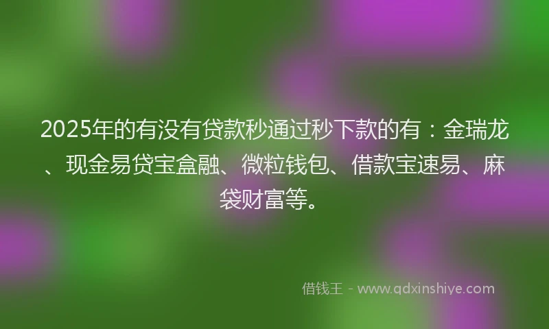 2025年的有没有贷款秒通过秒下款的有：金瑞龙、现金易贷宝盒融、微粒钱包、借款宝速易、麻袋财富等。