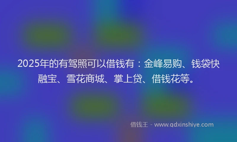 2025年的有驾照可以借钱有：金峰易购、钱袋快融宝、雪花商城、掌上贷、借钱花等。
