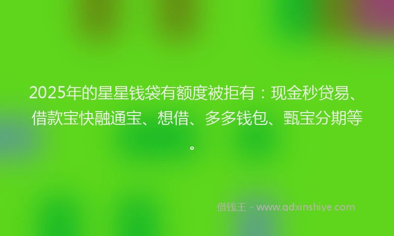 2025年的星星钱袋有额度被拒有：现金秒贷易、借款宝快融通宝、想借、多多钱包、甄宝分期等。