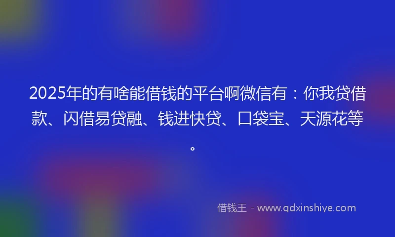 2025年的有啥能借钱的平台啊微信有：你我贷借款、闪借易贷融、钱进快贷、口袋宝、天源花等。