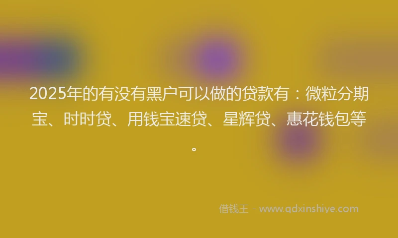 2025年的有没有黑户可以做的贷款有：微粒分期宝、时时贷、用钱宝速贷、星辉贷、惠花钱包等。