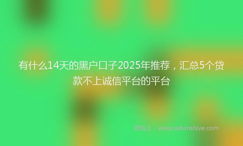 有什么14天的黑户口子2025年推荐，汇总5个贷款不上诚信平台的平台