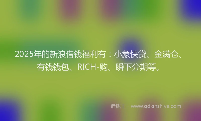 2025年的新浪借钱福利有：小象快贷、金满仓、有钱钱包、RICH-购、瞬下分期等。