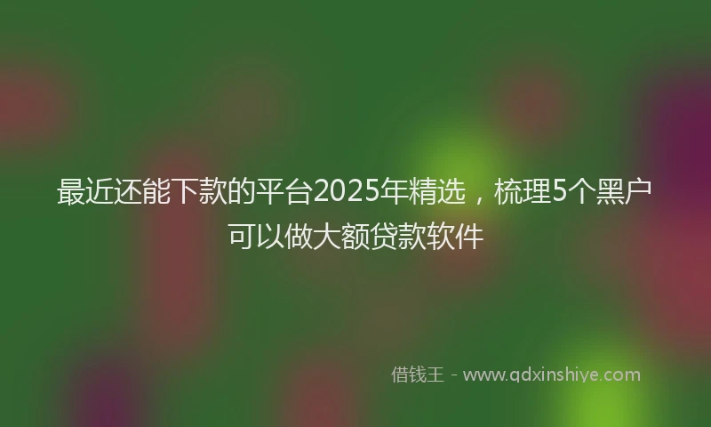 最近还能下款的平台2025年精选，梳理5个黑户可以做大额贷款软件