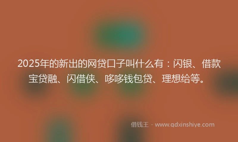 2025年的新出的网贷口子叫什么有：闪银、借款宝贷融、闪借侠、哆哆钱包贷、理想给等。