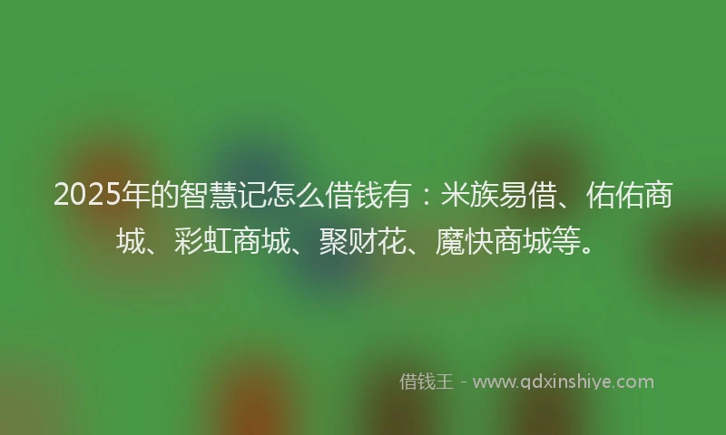 2025年的智慧记怎么借钱有：米族易借、佑佑商城、彩虹商城、聚财花、魔快商城等。