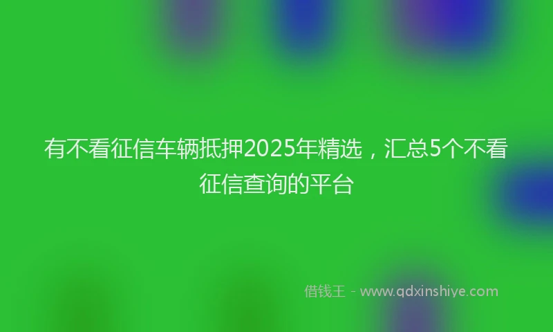 有不看征信车辆抵押2025年精选，汇总5个不看征信查询的平台