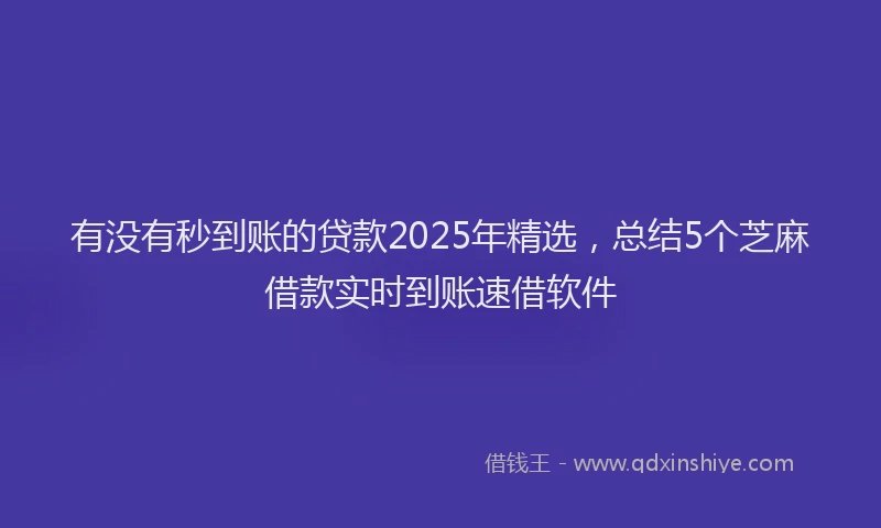 有没有秒到账的贷款2025年精选，总结5个芝麻借款实时到账速借软件
