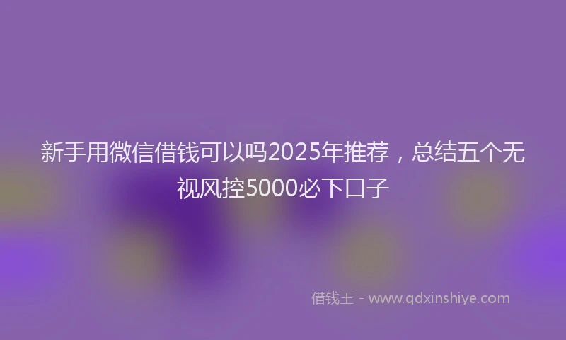 新手用微信借钱可以吗2025年推荐，总结五个无视风控5000必下口子