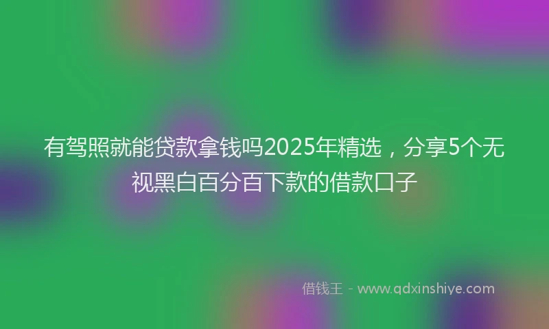 有驾照就能贷款拿钱吗2025年精选，分享5个无视黑白百分百下款的借款口子