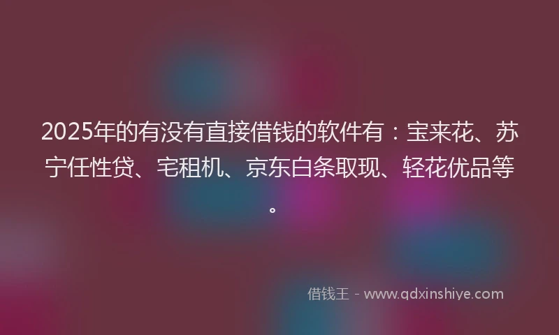 2025年的有没有直接借钱的软件有：宝来花、苏宁任性贷、宅租机、京东白条取现、轻花优品等。