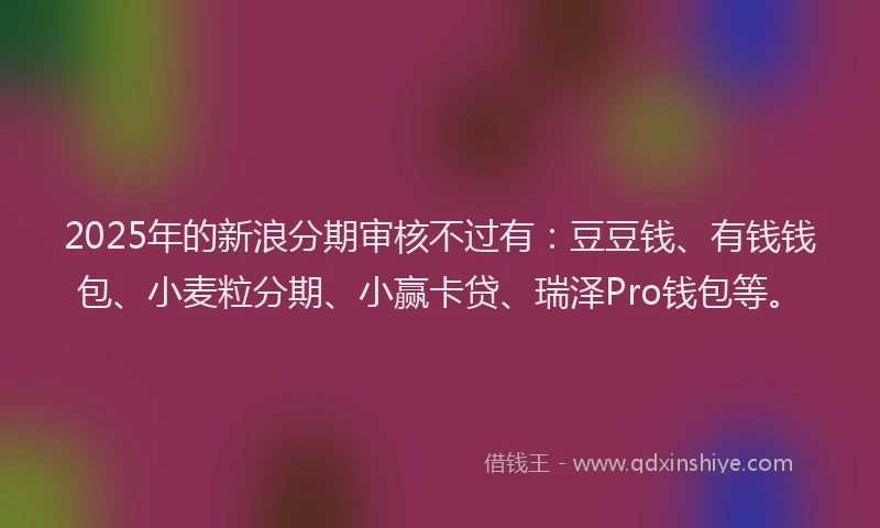 2025年的新浪分期审核不过有：豆豆钱、有钱钱包、小麦粒分期、小赢卡贷、瑞泽Pro钱包等。