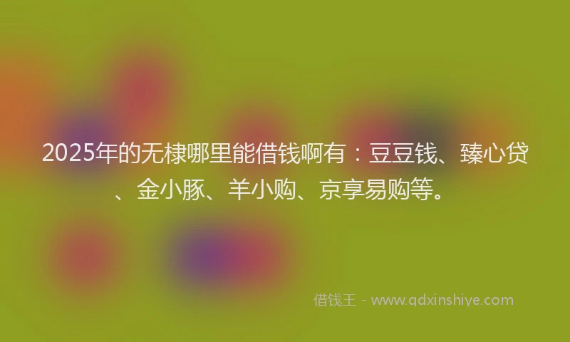 2025年的无棣哪里能借钱啊有：豆豆钱、臻心贷、金小豚、羊小购、京享易购等。