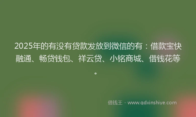 2025年的有没有贷款发放到微信的有：借款宝快融通、畅贷钱包、祥云贷、小铭商城、借钱花等。