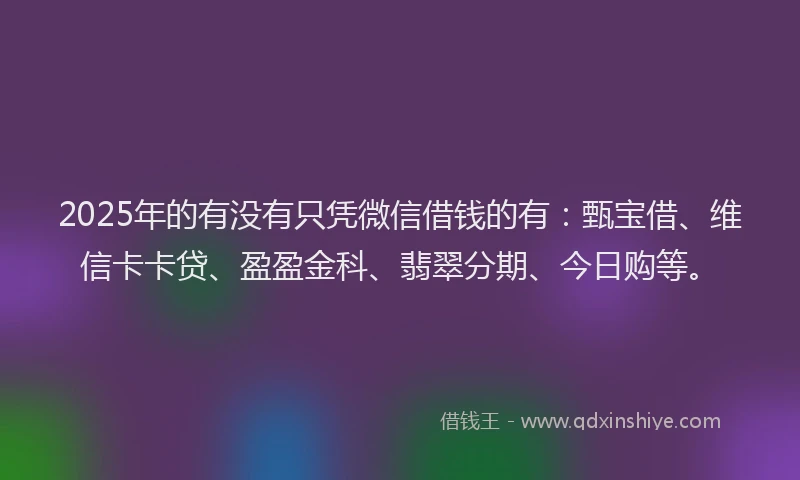 2025年的有没有只凭微信借钱的有：甄宝借、维信卡卡贷、盈盈金科、翡翠分期、今日购等。