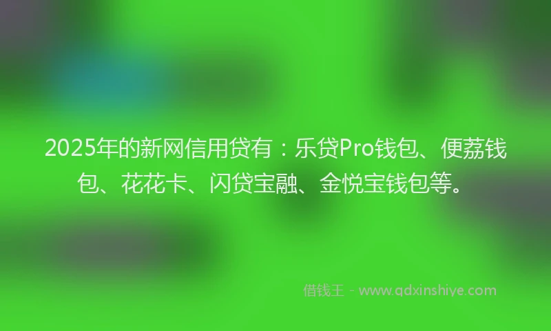 2025年的新网信用贷有：乐贷Pro钱包、便荔钱包、花花卡、闪贷宝融、金悦宝钱包等。