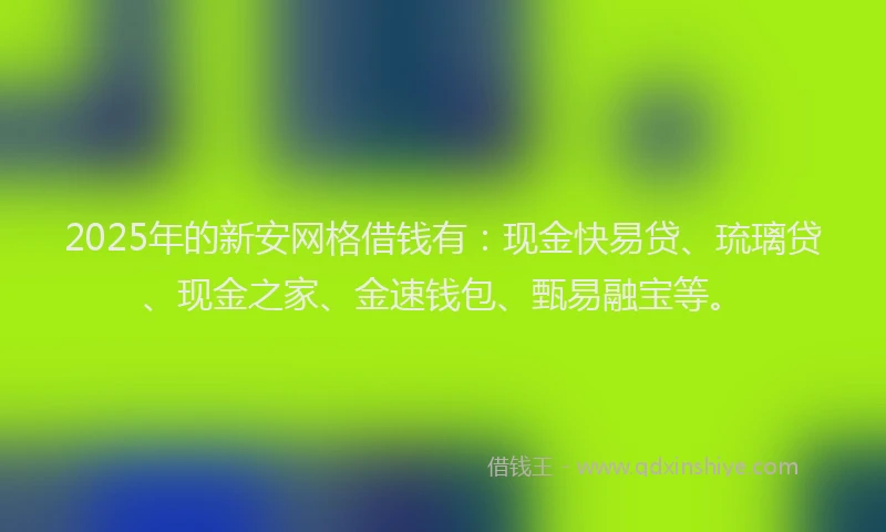 2025年的新安网格借钱有：现金快易贷、琉璃贷、现金之家、金速钱包、甄易融宝等。