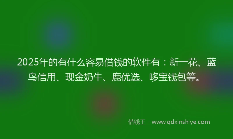 2025年的有什么容易借钱的软件有：新一花、蓝鸟信用、现金奶牛、鹿优选、哆宝钱包等。
