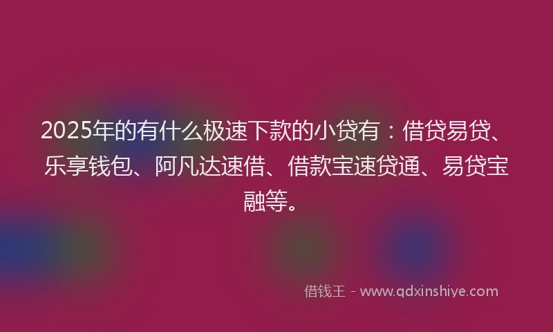2025年的有什么极速下款的小贷有：借贷易贷、乐享钱包、阿凡达速借、借款宝速贷通、易贷宝融等。