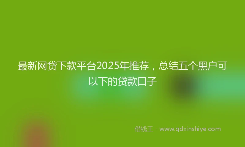 最新网贷下款平台2025年推荐，总结五个黑户可以下的贷款口子