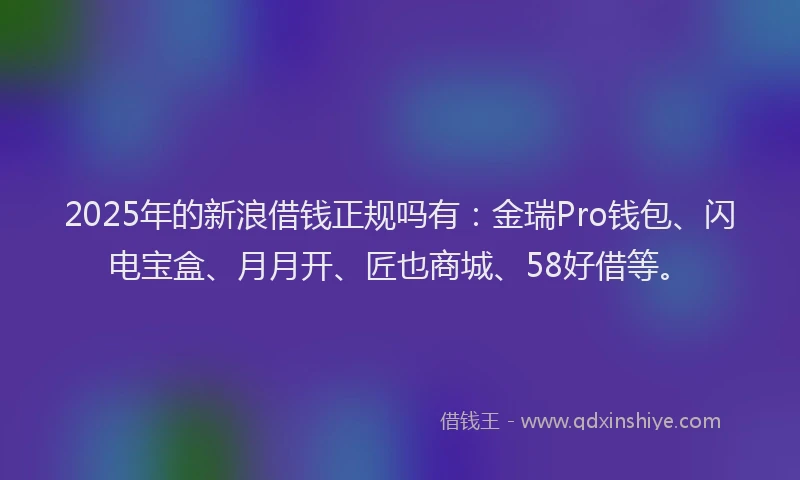 2025年的新浪借钱正规吗有：金瑞Pro钱包、闪电宝盒、月月开、匠也商城、58好借等。