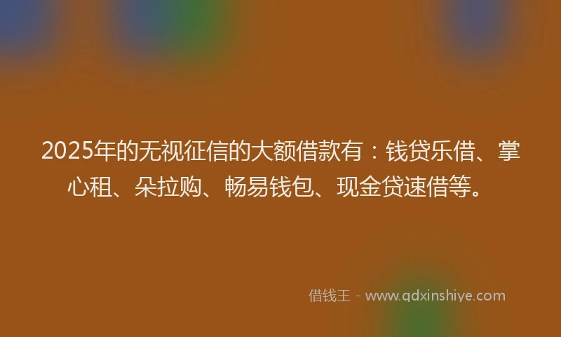 2025年的无视征信的大额借款有：钱贷乐借、掌心租、朵拉购、畅易钱包、现金贷速借等。