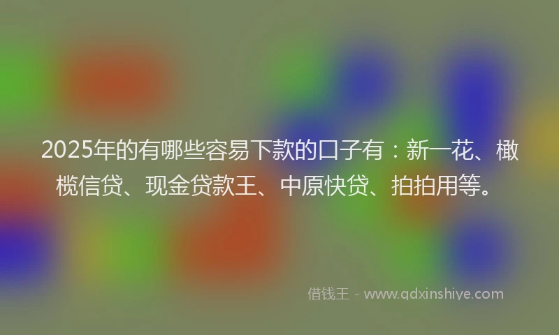 2025年的有哪些容易下款的口子有：新一花、橄榄信贷、现金贷款王、中原快贷、拍拍用等。