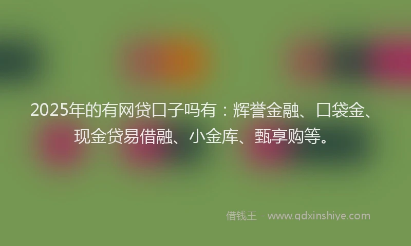 2025年的有网贷口子吗有：辉誉金融、口袋金、现金贷易借融、小金库、甄享购等。