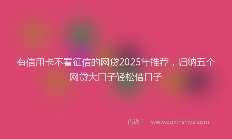 有信用卡不看征信的网贷2025年推荐，归纳五个网贷大口子轻松借口子