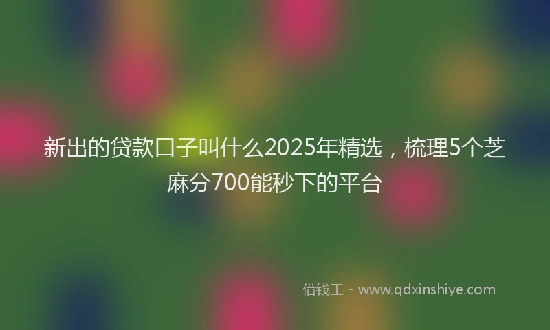 新出的贷款口子叫什么2025年精选，梳理5个芝麻分700能秒下的平台
