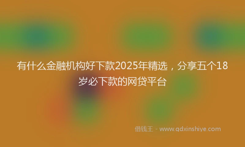 有什么金融机构好下款2025年精选，分享五个18岁必下款的网贷平台