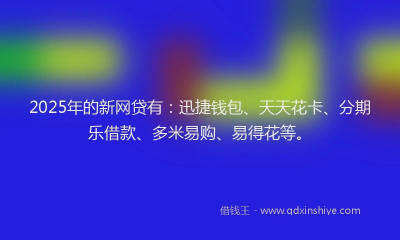 2025年的新网贷有：迅捷钱包、天天花卡、分期乐借款、多米易购、易得花等。