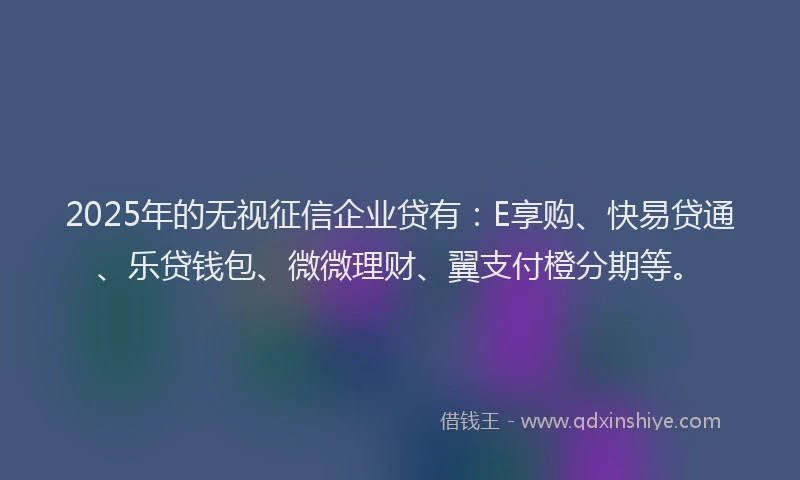 2025年的无视征信企业贷有：E享购、快易贷通、乐贷钱包、微微理财、翼支付橙分期等。