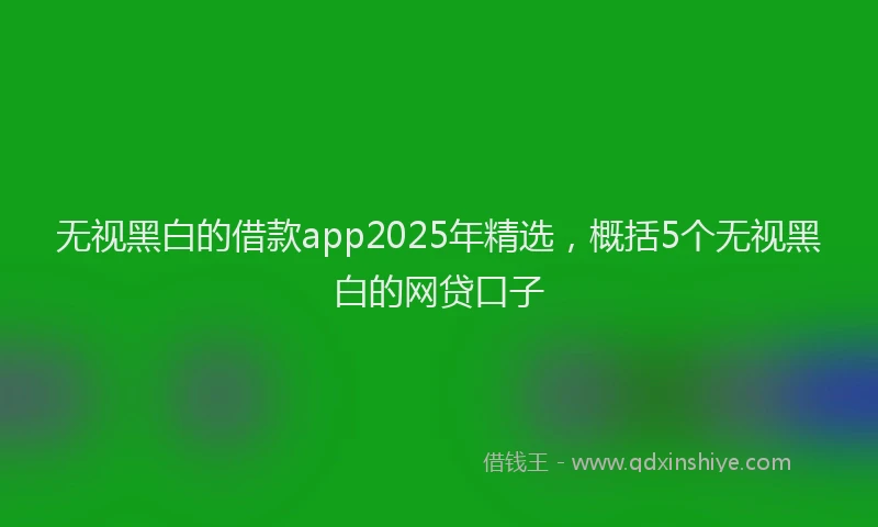无视黑白的借款app2025年精选，概括5个无视黑白的网贷口子