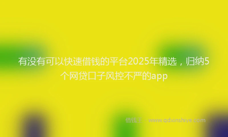 有没有可以快速借钱的平台2025年精选，归纳5个网贷口子风控不严的app