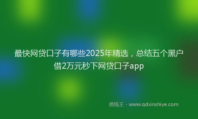 最快网贷口子有哪些2025年精选，总结五个黑户借2万元秒下网贷口子app